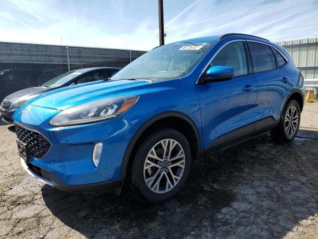 2021 Ford Escape SEL