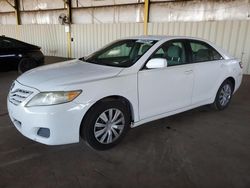 2011 Toyota Camry Base en venta en Phoenix, AZ