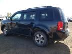 2011 Honda Pilot EXL