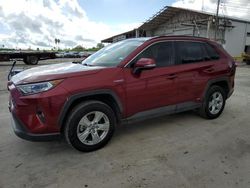 2020 Toyota Rav4 XLE en venta en Corpus Christi, TX