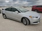 2016 Ford Fusion SE Hybrid