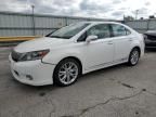 2010 Lexus HS 250H