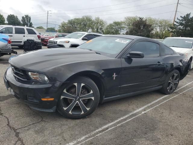 2010 Ford Mustang