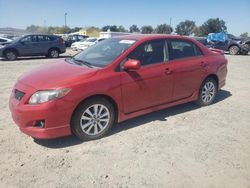 Toyota salvage cars for sale: 2009 Toyota Corolla Base