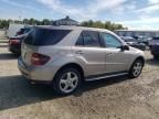 2007 Mercedes-Benz ML 500