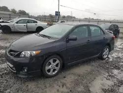 Toyota Vehiculos salvage en venta: 2011 Toyota Corolla Base