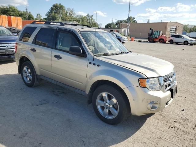 2010 Ford Escape XLT