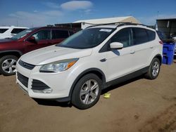 Salvage cars for sale at Brighton, CO auction: 2014 Ford Escape SE