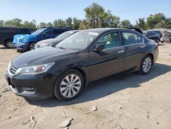 Salvage cars for sale at Baltimore, MD auction: 2015 Honda Accord EXL