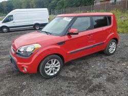 Salvage cars for sale at Baltimore, MD auction: 2013 KIA Soul +