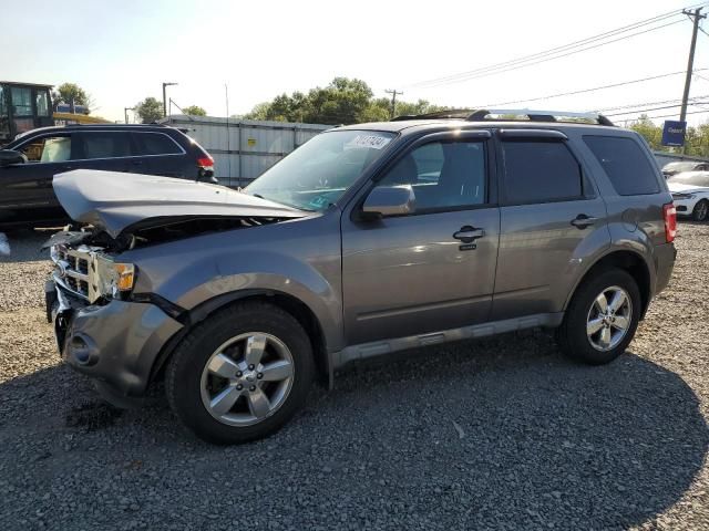 2010 Ford Escape Limited