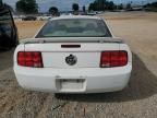 2005 Ford Mustang