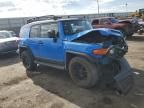 2007 Toyota FJ Cruiser