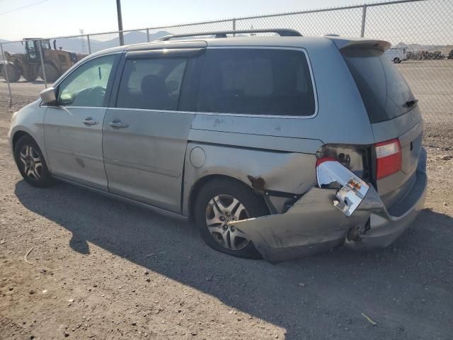 2005 Honda Odyssey EXL