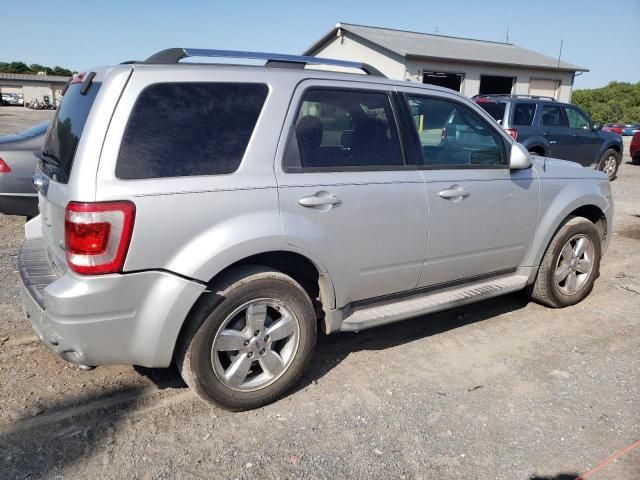 2010 Ford Escape Limited