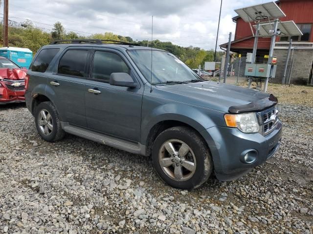 2010 Ford Escape XLT