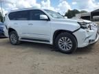 2017 Lexus GX 460