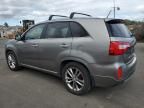 2014 KIA Sorento SX