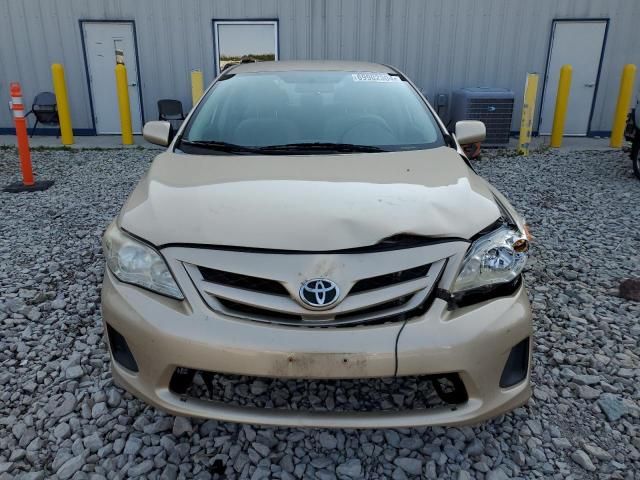 2011 Toyota Corolla Base