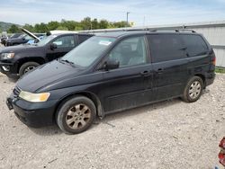 Honda salvage cars for sale: 2003 Honda Odyssey EXL