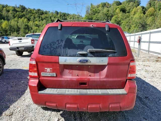 2011 Ford Escape Limited