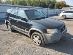 2001 Ford Escape XLT