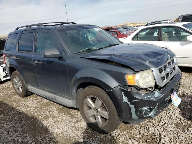 2009 Ford Escape XLT