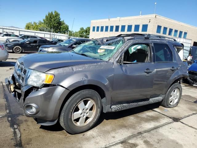 2012 Ford Escape XLT