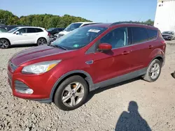 Salvage cars for sale at Windsor, NJ auction: 2014 Ford Escape SE