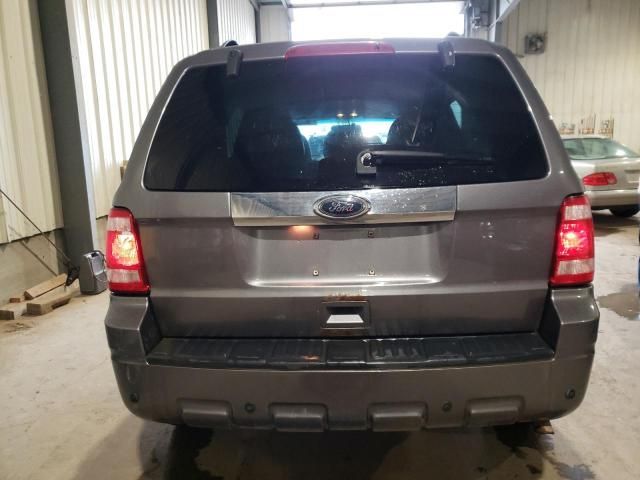 2010 Ford Escape Limited