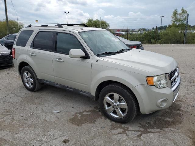 2009 Ford Escape Limited