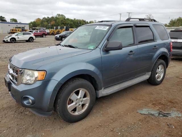 2010 Ford Escape XLT