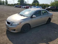 Salvage cars for sale at Montreal Est, QC auction: 2010 Toyota Corolla Base