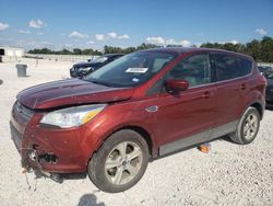 Salvage cars for sale at New Braunfels, TX auction: 2016 Ford Escape SE