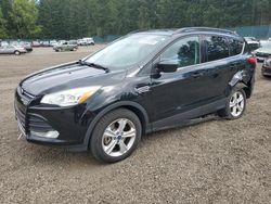 Salvage cars for sale at Graham, WA auction: 2016 Ford Escape SE