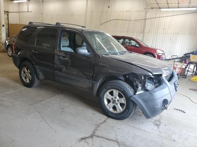 2007 Ford Escape XLT