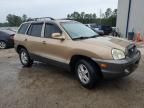 2004 Hyundai Santa FE GLS