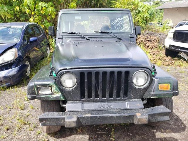 2001 Jeep Wrangler / TJ Sport