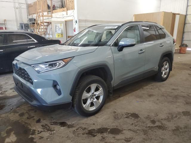 2020 Toyota Rav4 XLE