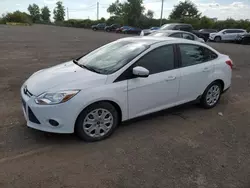 Ford salvage cars for sale: 2013 Ford Focus SE