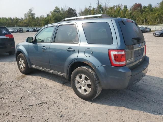 2011 Ford Escape Limited