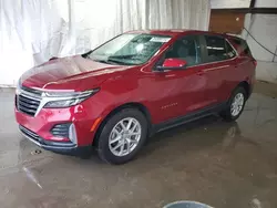 Carros salvage sin ofertas aún a la venta en subasta: 2024 Chevrolet Equinox LT