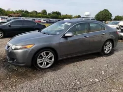 Salvage cars for sale at Hillsborough, NJ auction: 2010 Acura TSX