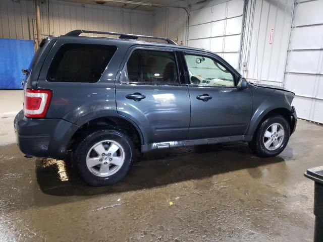 2009 Ford Escape XLT