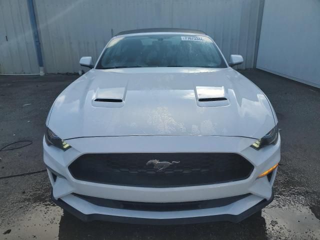 2019 Ford Mustang