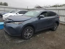 Toyota salvage cars for sale: 2021 Toyota Venza LE