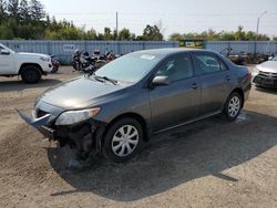 Toyota salvage cars for sale: 2010 Toyota Corolla Base