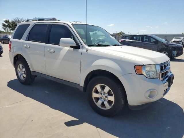 2011 Ford Escape Limited