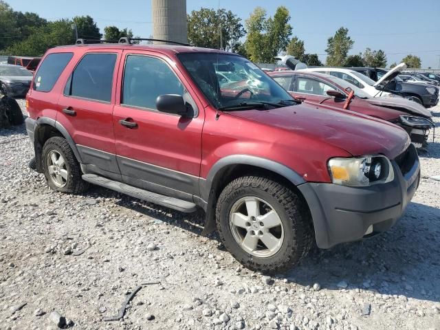 2006 Ford Escape XLT