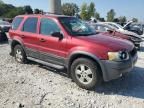 2006 Ford Escape XLT